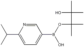 Molecular Structure of 1105665-37-9 (6-Isopropylpyridine-3-boronic acid pinacol ester)